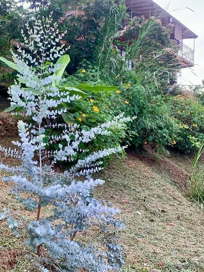 Villa Casa Orinoco - Farallones De Cali